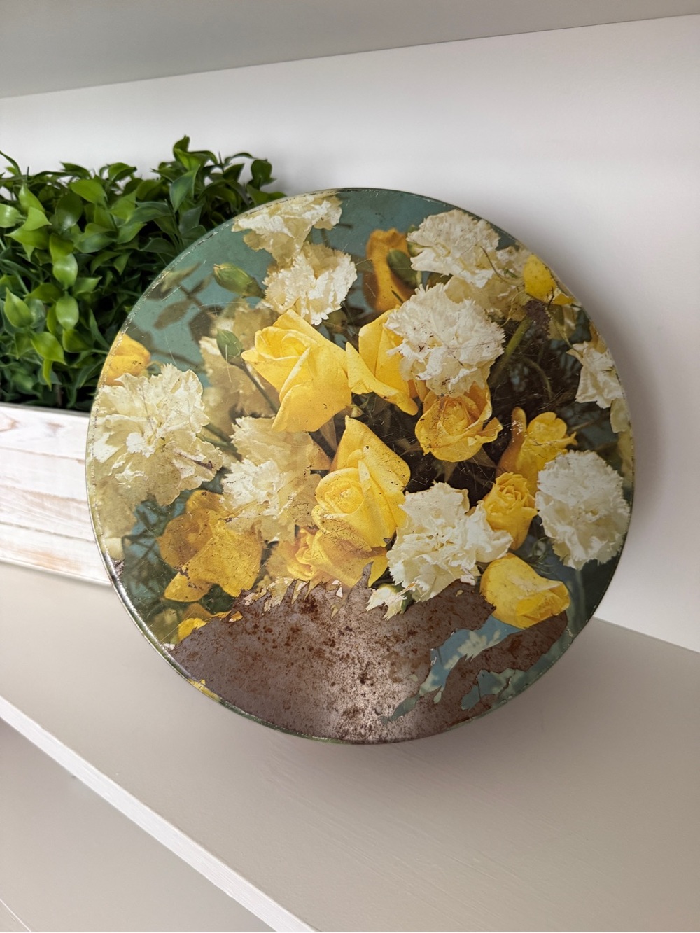 Vintage Metal Tin, Round Yellow and White Flower Lid, Blue Base-Very Distressed